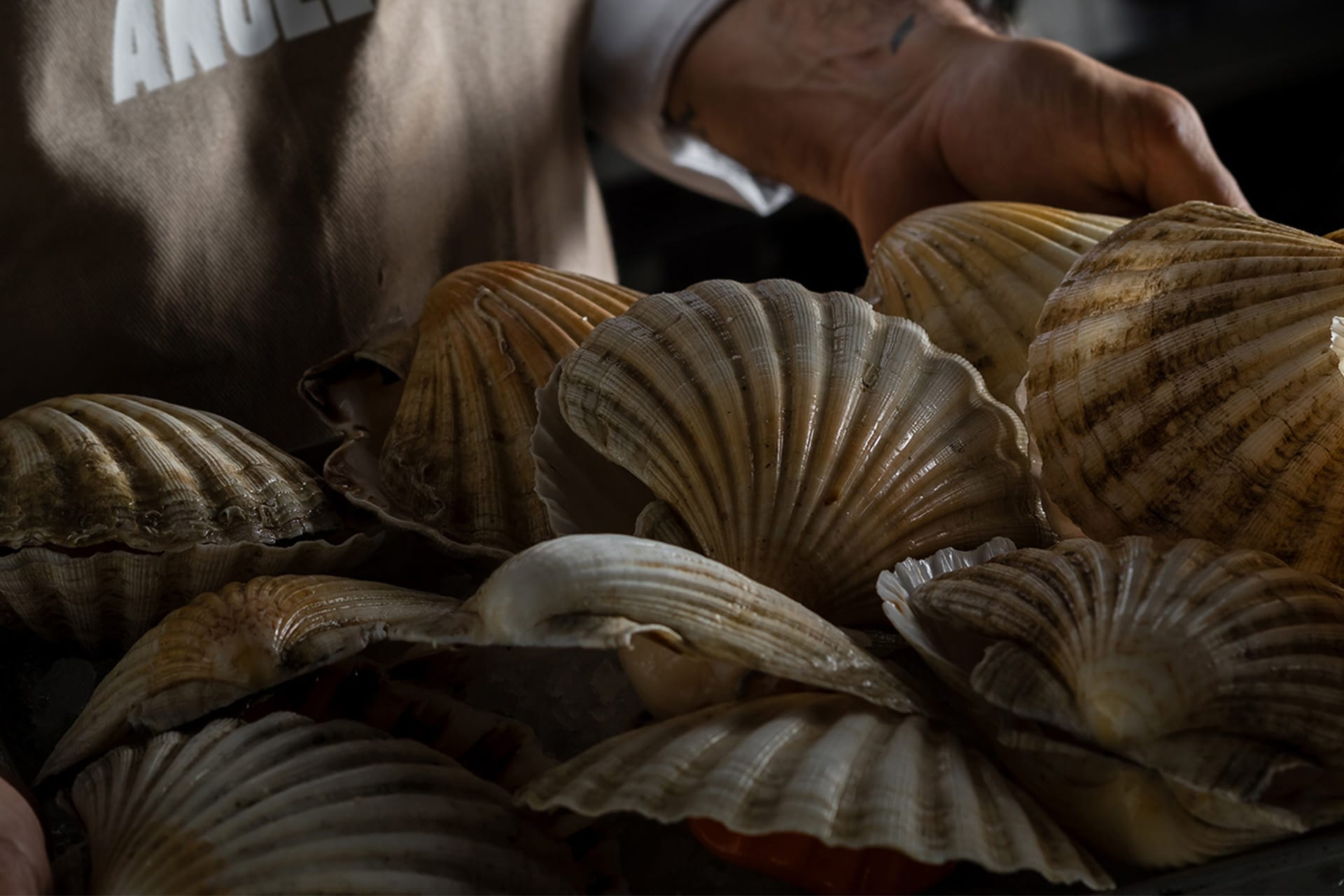 Image - 2186efcc-15a4-4064-acce-c3c06a8d59b0