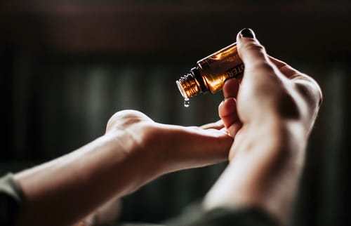 Image - d3e2065a-d9f7-4ec7-8af4-d4bcbe233c53