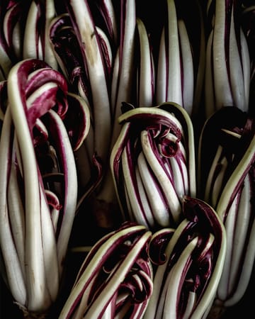 Image - acae6dc2-d371-4faa-993b-8374f28eb0e1